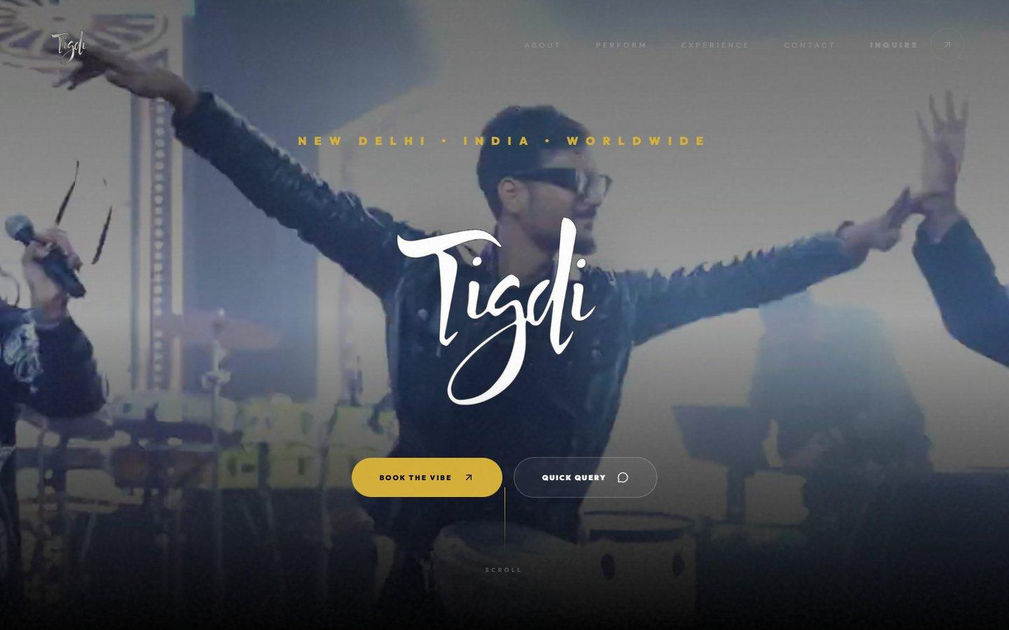 TigdiTheBand - Website Design Project by WebNesters