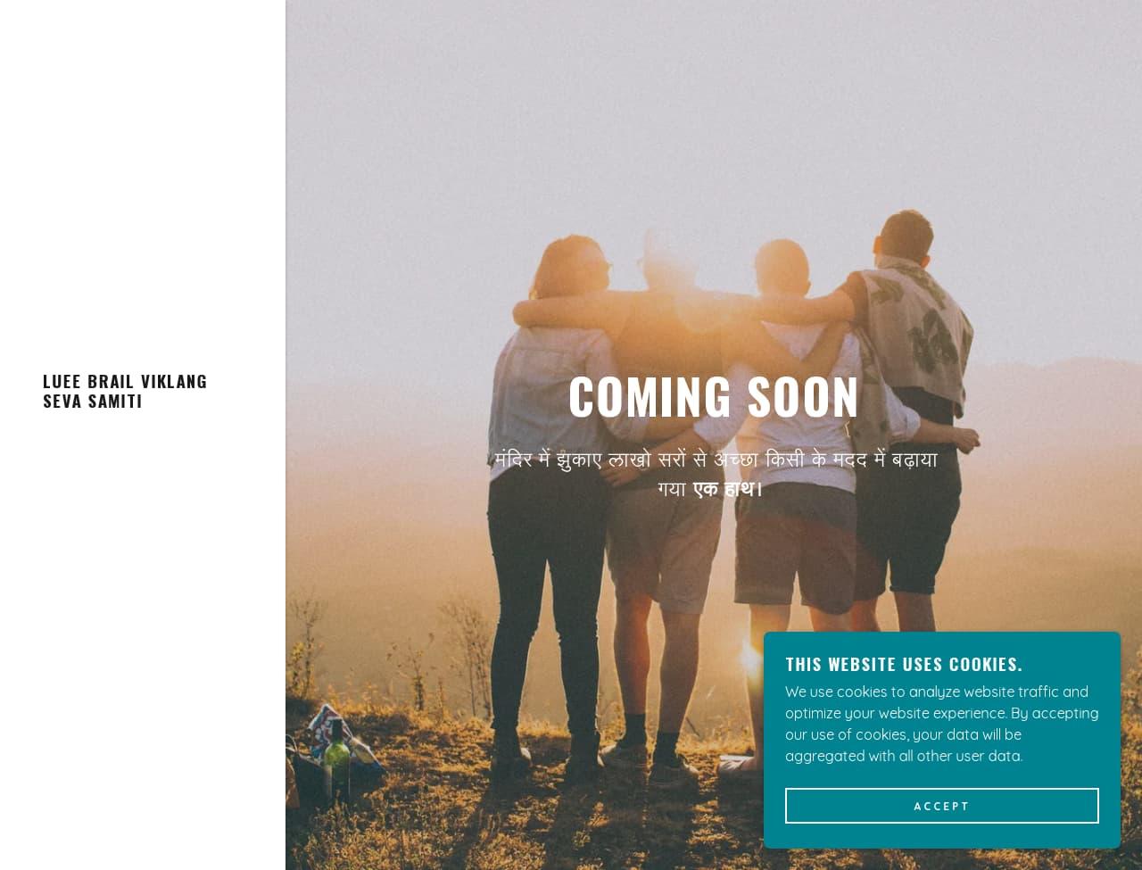 Lueebrail - Website Design Project by WebNesters