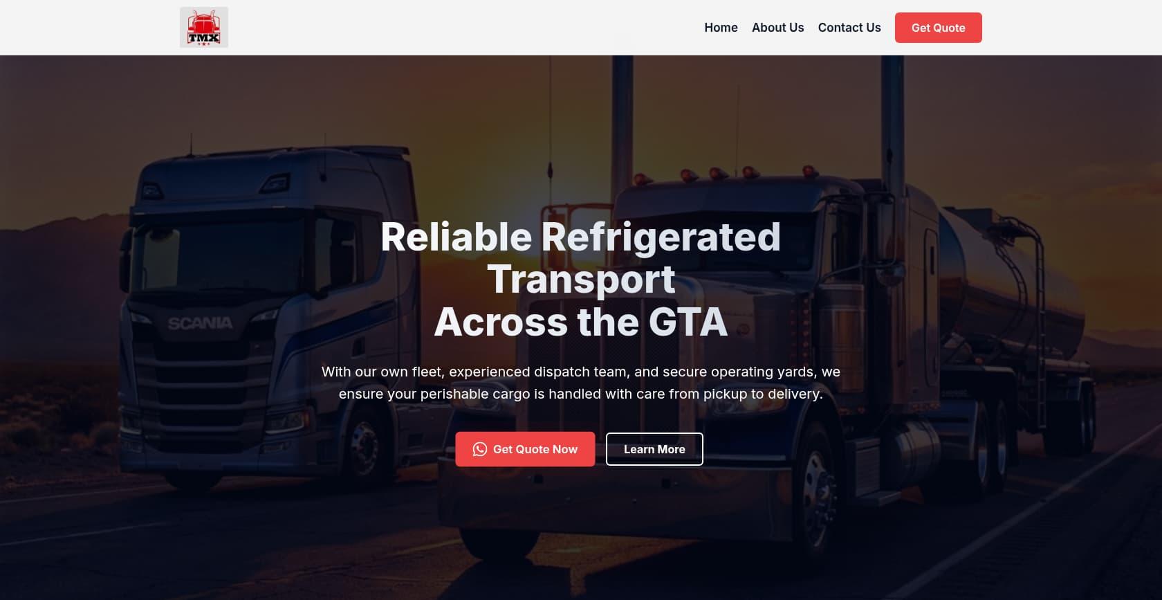 TMX Ltd - Website Design Project by WebNesters
